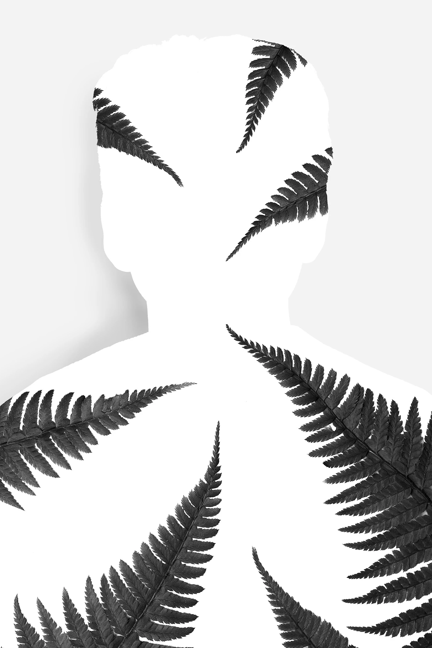 Art — 26