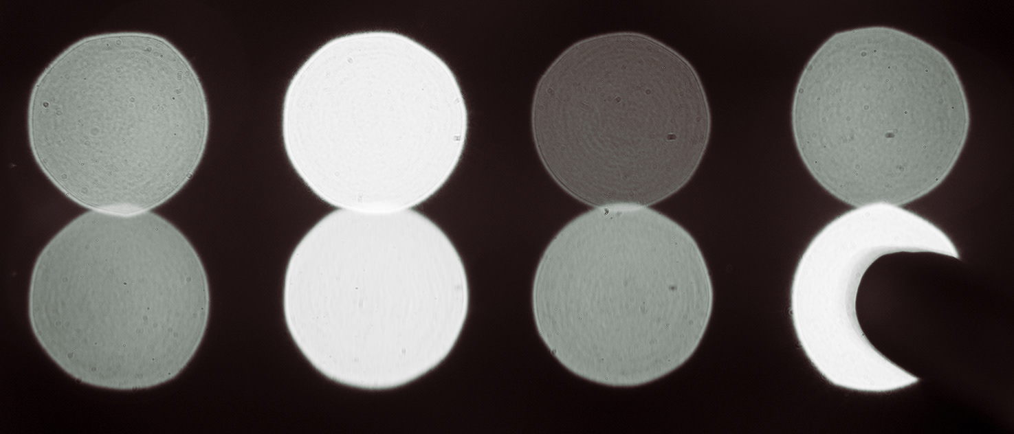 Art — 61