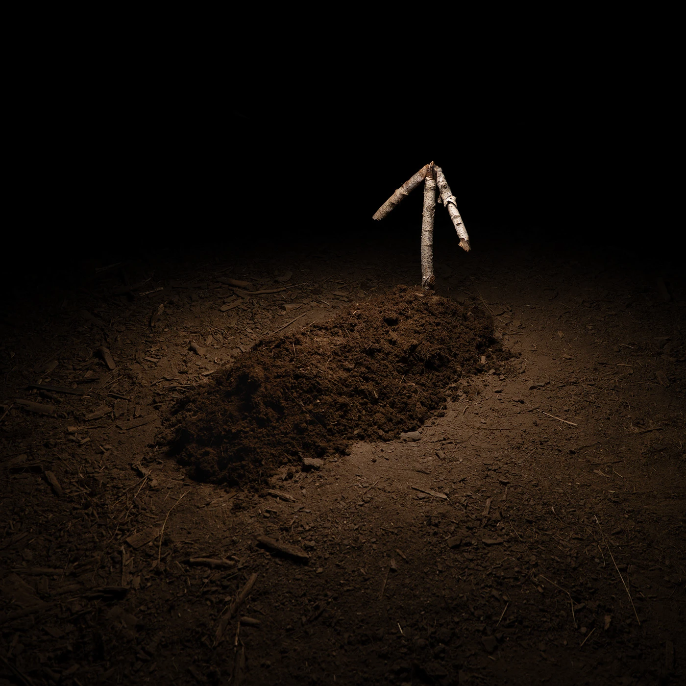 Art — 10